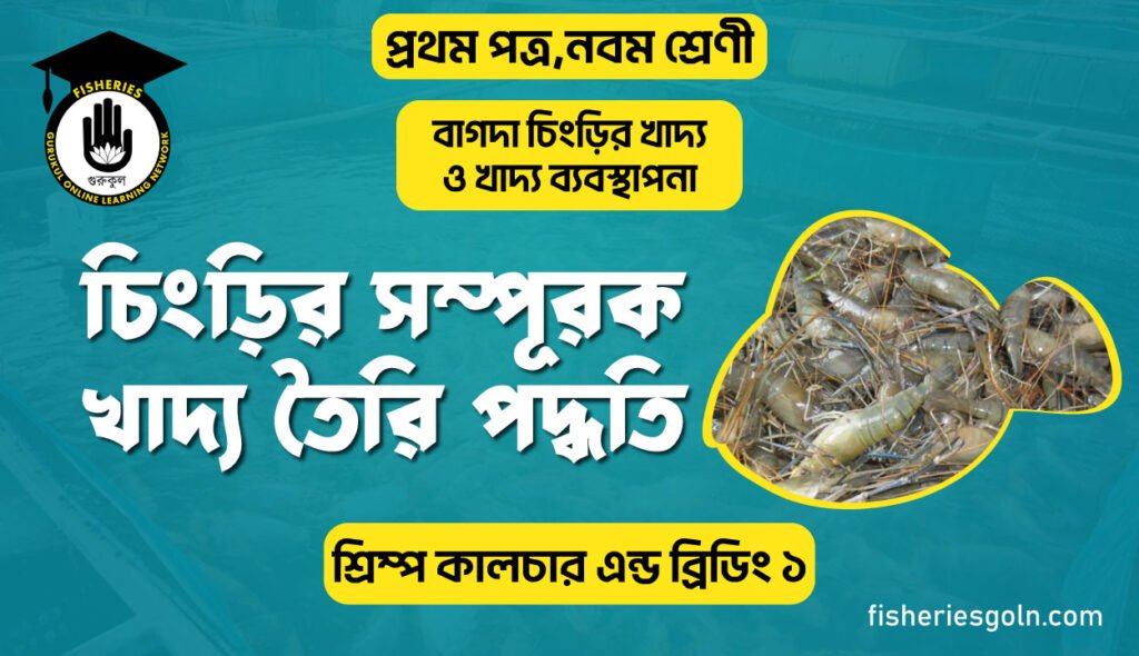 চিংড়ির সম্পূরক খাদ্য তৈরি পদ্ধতি | অধ্যায়-৯ | শ্রিম্প কালচার এন্ড ব্রিডিং ১