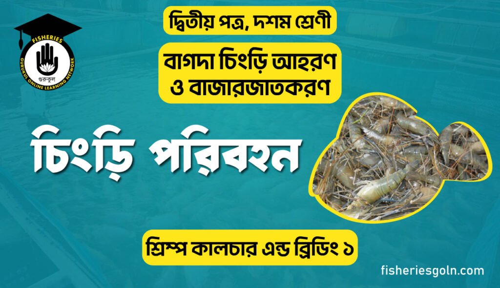 চিংড়ি পরিবহন | অধ্যায়-১ | শ্রিম্প কালচার এন্ড ব্রিডিং ১
