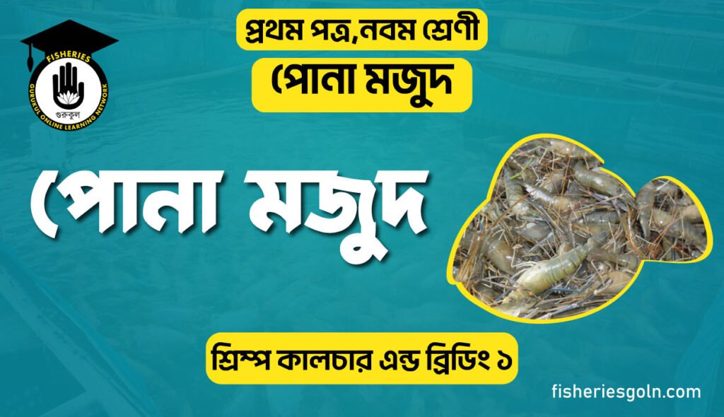 চিংড়ির পোনা মজুদ। ৭ম অধ্যায় । শ্রিম্প কালচার এন্ড ব্রিডিং ১