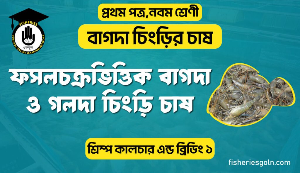 ফসলচক্রভিত্তিক বাগদা ও গলদা চিংড়ি চাষ । ৩য় অধ্যায় । শ্রিম্প কালচার এন্ড ব্রিডিং ১