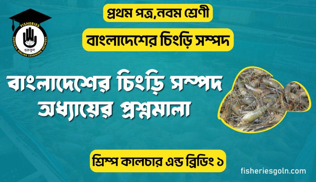 বাংলাদেশের চিংড়ি সম্পদ অধ্যায়ের প্রশ্নমালা । ১ম অধ্যায় । শ্রিম্প কালচার এন্ড ব্রিডিং ১