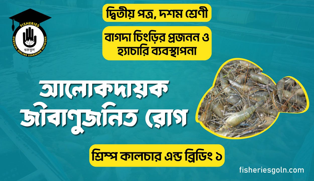 আলোকদায়ক জীবাণুজনিত রোগ | অধ্যায়-৩ | শ্রিম্প কালচার এন্ড ব্রিডিং ১