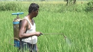 ঔষধ ছিটানোর পাত্র