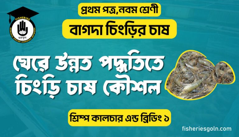 ঘেরে উন্নত পদ্ধতিতে চিংড়ি চাষ কৌশল । ৩য় অধ্যায় । শ্রিম্প কালচার এন্ড ব্রিডিং ১