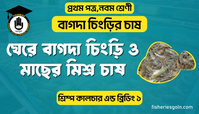 ঘেরে বাগদা চিংড়ি ও মাছের মিশ্র চাষ। ৩য় অধ্যায় । শ্রিম্প কালচার এন্ড ব্রিডিং ১