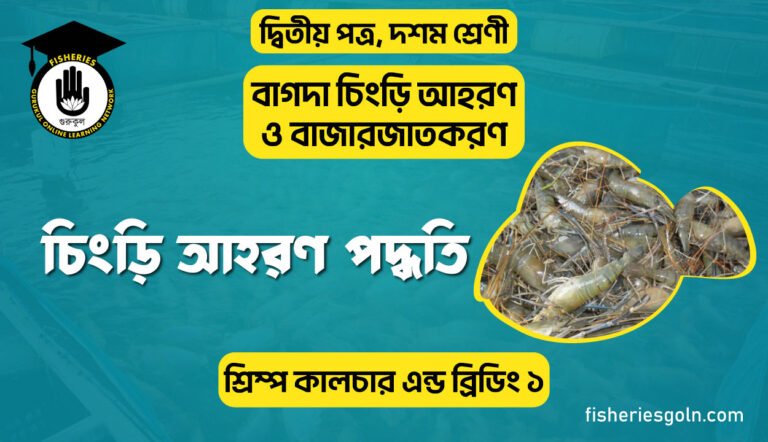 চিংড়ি আহরণ পদ্ধতি | অধ্যায়-১ | শ্রিম্প কালচার এন্ড ব্রিডিং-১