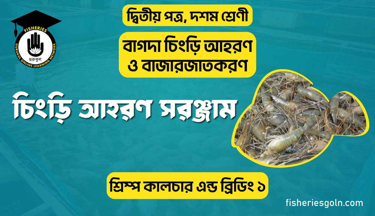 চিংড়ি আহরণ সরঞ্জাম | অধ্যায়-১ | শ্রিম্প কালচার এন্ড ব্রিডিং ১