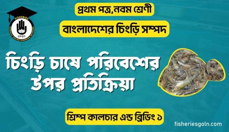 চিংড়ি চাষে পরিবেশ এর উপর প্রতিক্রিয়া । ১ম অধ্যায় । শ্রিম্প কালচার এন্ড ব্রিডিং ১