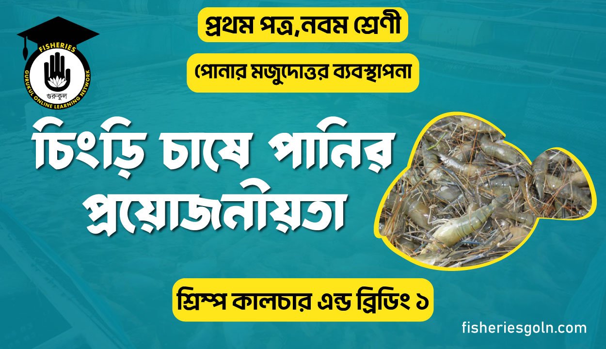 চিংড়ি চাষে পানির প্রয়োজনীয়তা | অধ্যায়-৮ | শ্রিম্প কালচার এন্ড ব্রিডিং-২
