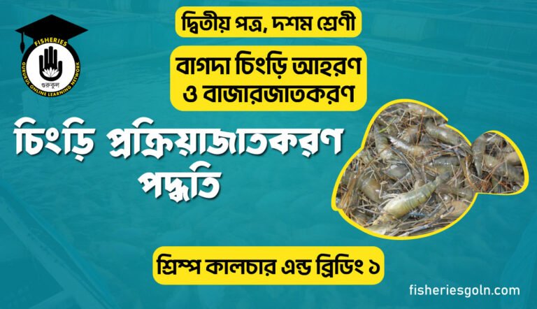 চিংড়ি প্রক্রিয়াজাতকরণ পদ্ধতি | অধ্যায়-১ | শ্রিম্প কালচার এন্ড ব্রিডিং ১