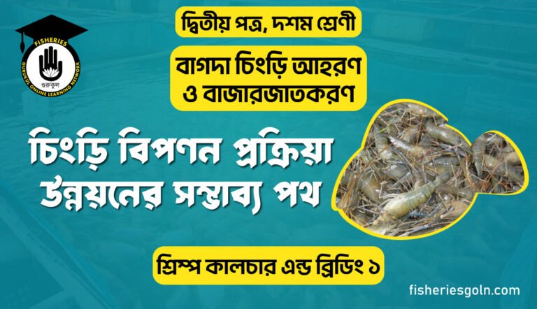চিংড়ি বিপণন প্রক্রিয়া উন্নয়নের সম্ভাব্য পথ | অধ্যায়-১ | শ্রিম্প কালচার এন্ড ব্রিডিং ১