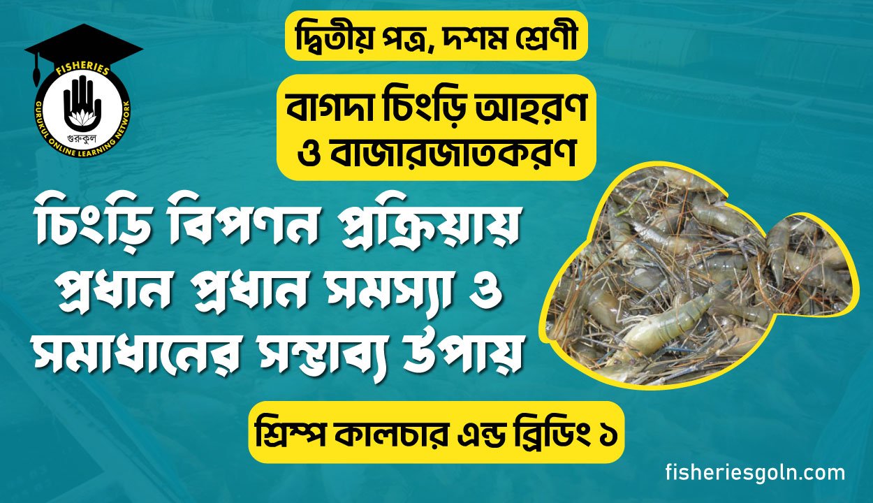 চিংড়ি বিপণন প্রক্রিয়ায় প্রধান প্রধান সমস্যা ও সমাধানের সম্ভাব্য উপায় | অধ্যায়-১ | শ্রিম্প কালচার এন্ড ব্রিডিং ১