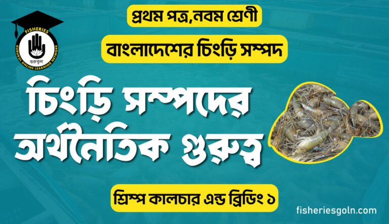 চিংড়ি সম্পদের অর্থনৈতিক গুরুত্ব । ১ম অধ্যায় । শ্রিম্প কালচার এন্ড ব্রিডিং ১