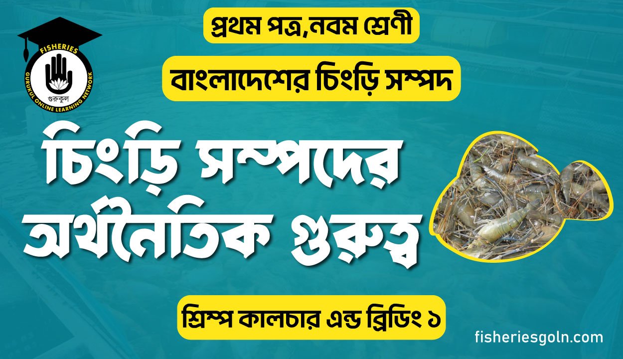 চিংড়ি সম্পদের অর্থনৈতিক গুরুত্ব । ১ম অধ্যায় । শ্রিম্প কালচার এন্ড ব্রিডিং ১