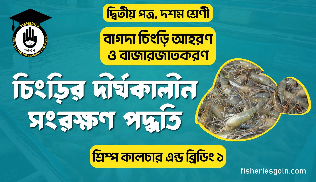 চিংড়ির দীর্ঘকালীন সংরক্ষণ পদ্ধতি | অধ্যায়-১ | শ্রিম্প কালচার এন্ড ব্রিডিং ১