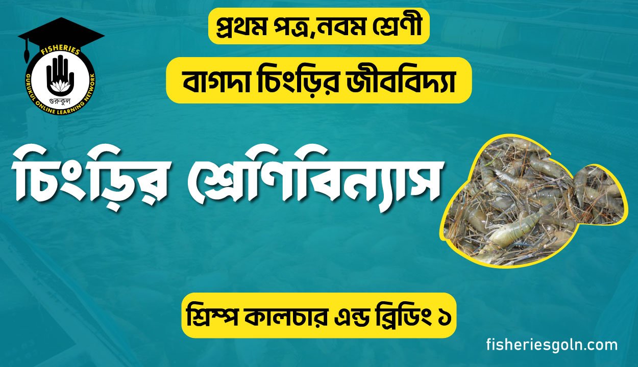 চিংড়ির শ্রেণিবিন্যাস । ২য় অধ্যায় । শ্রিম্প কালচার এন্ড ব্রিডিং ১