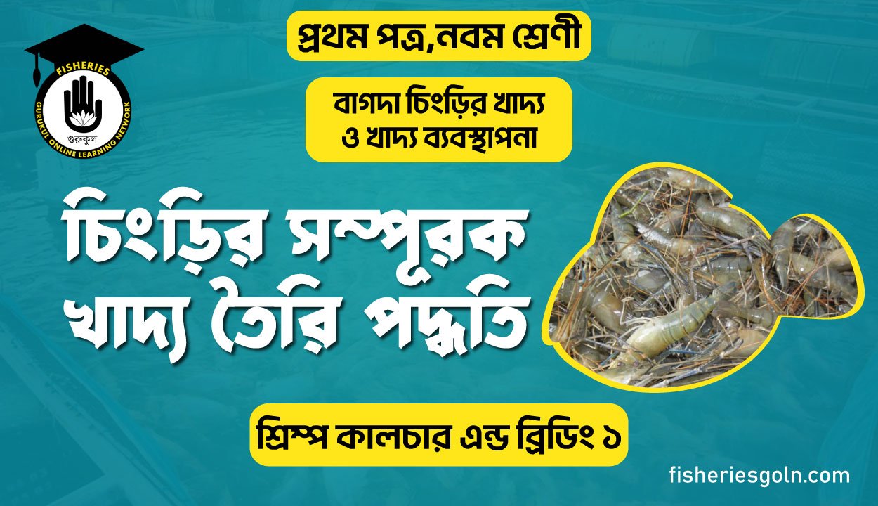 চিংড়ির সম্পূরক খাদ্য তৈরি পদ্ধতি | অধ্যায়-৯ | শ্রিম্প কালচার এন্ড ব্রিডিং ১