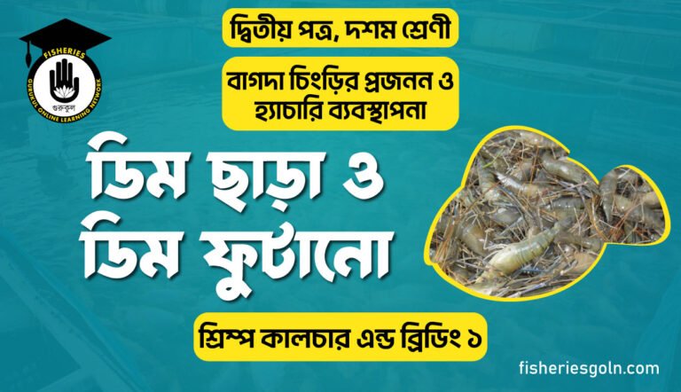 ডিম ছাড়া ও ডিম ফুটানো | অধ্যায়-৩ | শ্রিম্প কালচার এন্ড ব্রিডিং ১