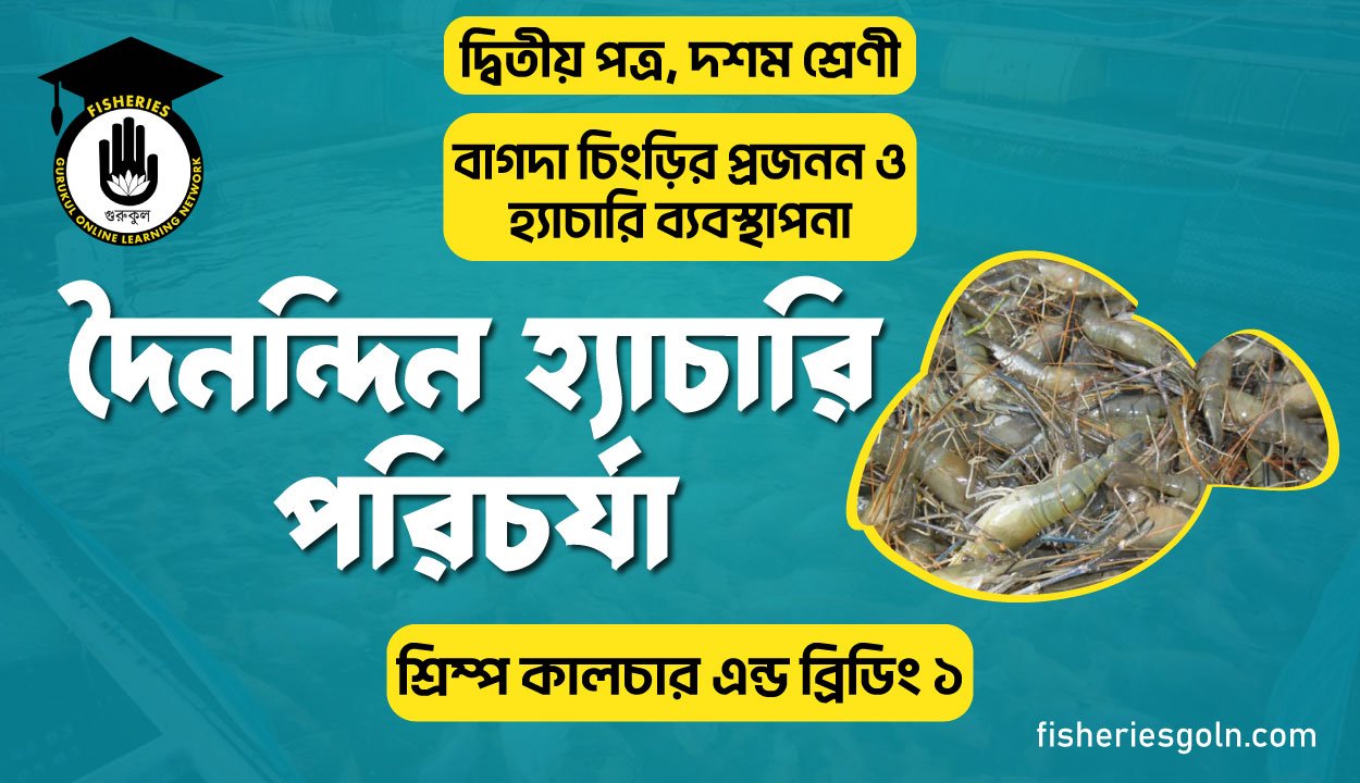 দৈনন্দিন হ্যাচারি পরিচর্যা | অধ্যায়-৩ | শ্রিম্প কালচার এন্ড ব্রিডিং ১