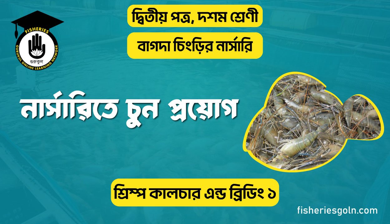 নার্সারিতে চুন প্রয়োগ