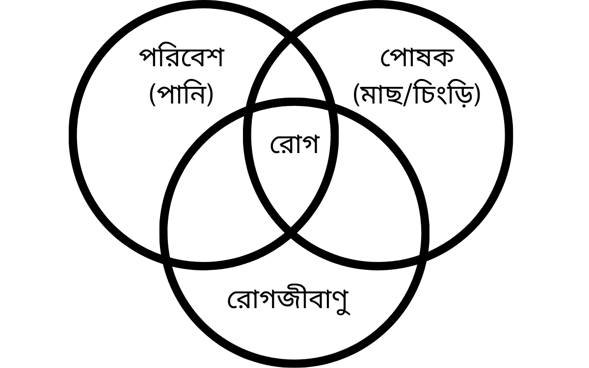 পরিবেশ ও তার প্রভাবসমূহ