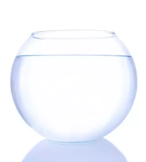 পাত্র বা এক্যুরিয়াম