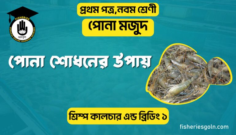 পোনা শোধনের উপায় । ৭ম অধ্যায় । শ্রিম্প কালচার এন্ড ব্রিডিং ১