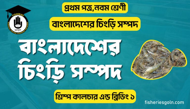 বাংলাদেশের চিংড়ি সম্পদ । ১ম অধ্যায় । শ্রিম্প কালচার এন্ড ব্রিডিং ১