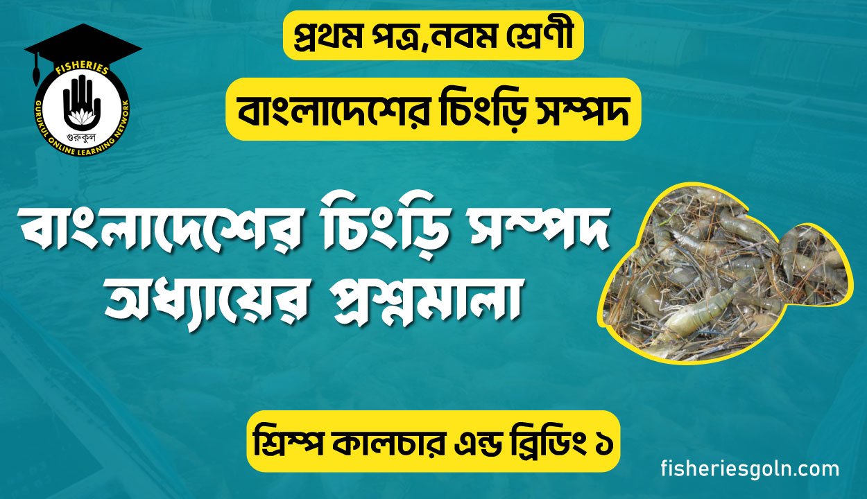 বাংলাদেশের চিংড়ি সম্পদ অধ্যায়ের প্রশ্নমালা । ১ম অধ্যায় । শ্রিম্প কালচার এন্ড ব্রিডিং ১