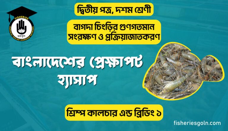 বাংলাদেশের প্রেক্ষাপট হ্যাসাপ | অধ্যায়-২ | শ্রিম্প কালচার এন্ড ব্রিডিং ১