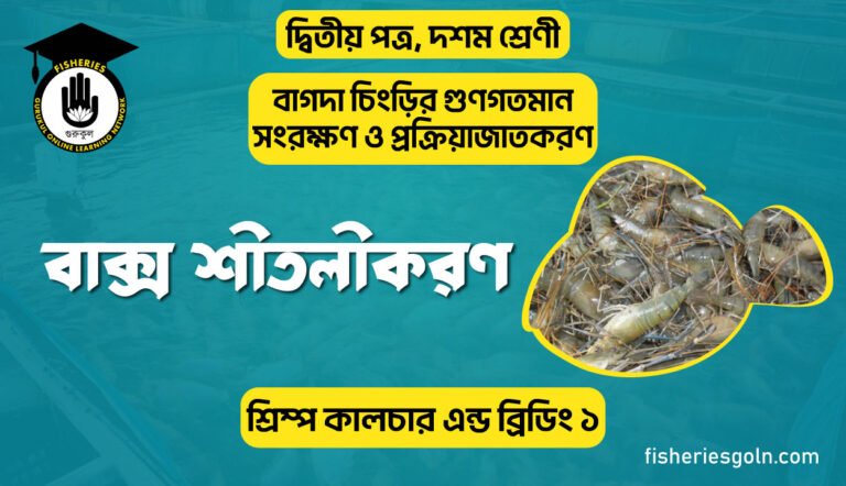 বাক্স শীতলীকরণ | অধ্যায়-২ | শ্রিম্প কালচার এন্ড ব্রিডিং ১