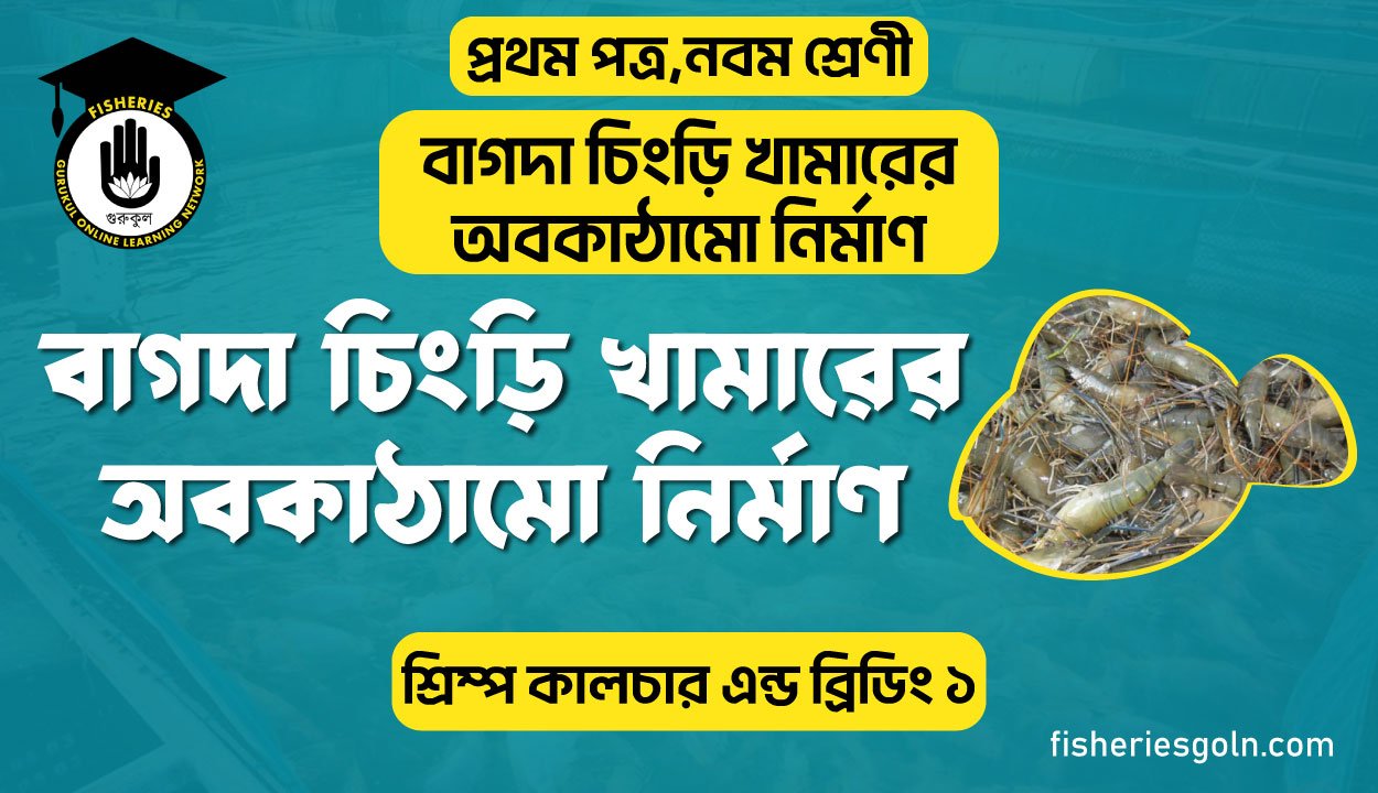 বাগদা চিংড়ি খামারের অবকাঠামো নির্মাণ। ৪র্থ অধ্যায় । শ্রিম্প কালচার এন্ড ব্রিডিং ১