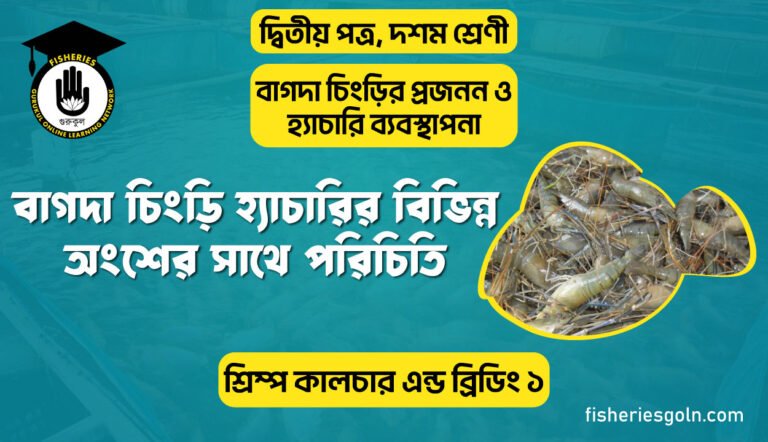 বাগদা চিংড়ি হ্যাচারির বিভিন্ন অংশের সাথে পরিচিতি | অধ্যায়-৩ | শ্রিম্প কালচার এন্ড ব্রিডিং ১