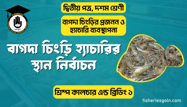 বাগদা চিংড়ি হ্যাচারির স্থান নির্বাচন | অধ্যায়-৩ | শ্রিম্প কালচার এন্ড ব্রিডিং ১