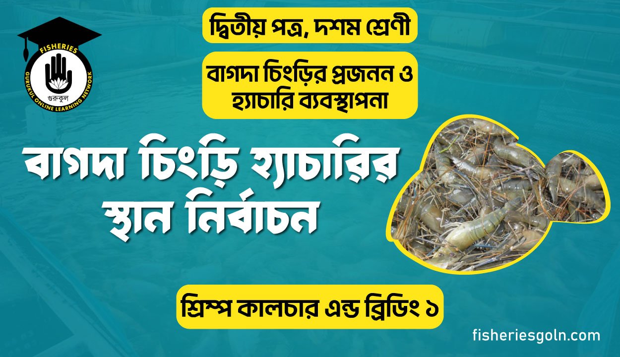বাগদা চিংড়ি হ্যাচারির স্থান নির্বাচন | অধ্যায়-৩ | শ্রিম্প কালচার এন্ড ব্রিডিং ১