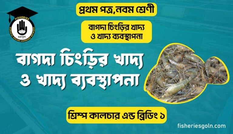 বাগদা চিংড়ির খাদ্য ও খাদ্য ব্যবস্থাপনা | অধ্যায়-৯ | শ্রিম্প কালচার এন্ড ব্রিডিং ১