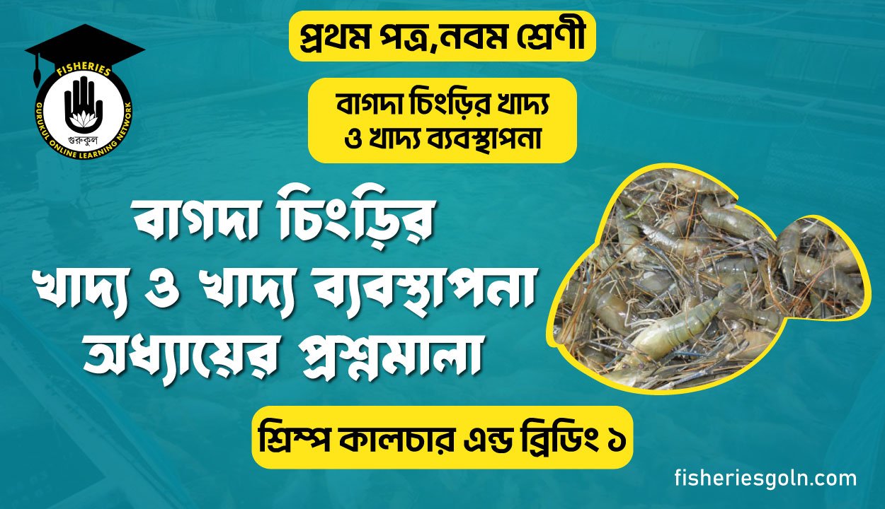 বাগদা চিংড়ির খাদ্য ও খাদ্য ব্যবস্থাপনা অধ্যায়ের প্রশ্নমালা | অধ্যায়-৯ | শ্রিম্প কালচার এন্ড ব্রিডিং ১