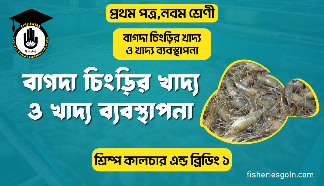 বাগদা চিংড়ির খাদ্য ও খাদ্য ব্যবস্থাপনা | অধ্যায়-৯ | শ্রিম্প কালচার এন্ড ব্রিডিং ১