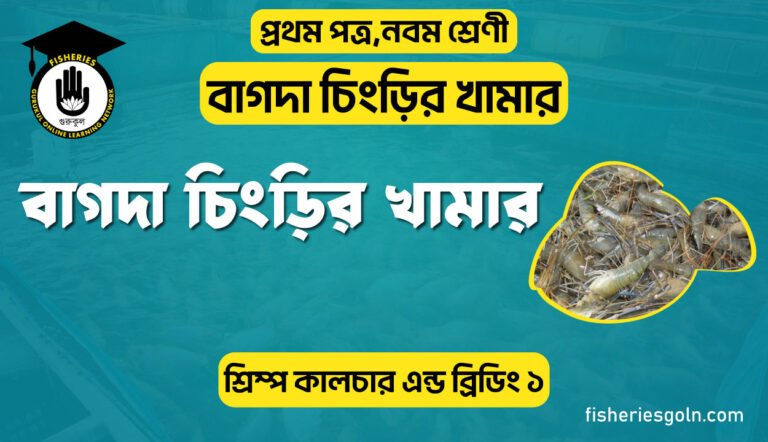বাগদা চিংড়ির খামার। ৪র্থ অধ্যায় । শ্রিম্প কালচার এন্ড ব্রিডিং ১