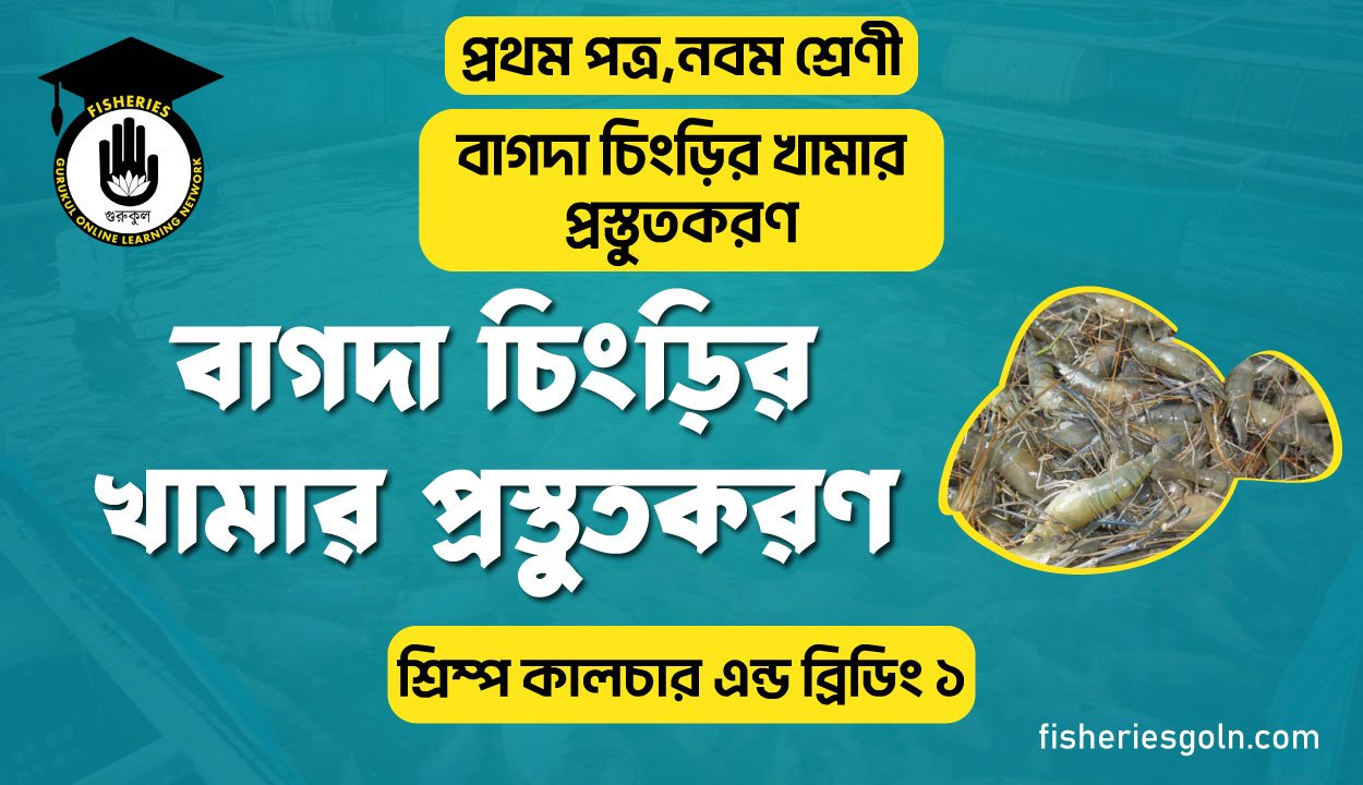 বাগদা চিংড়ি খামার প্রস্তুতকরণ। ৬ষ্ঠ অধ্যায় । শ্রিম্প কালচার এন্ড ব্রিডিং ১
