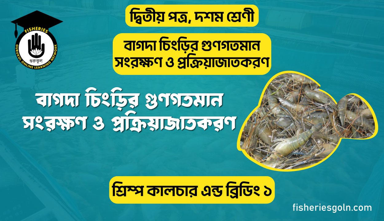 বাগদা চিংড়ির গুণগতমান সংরক্ষণ ও প্রক্রিয়াজাতকরণ | অধ্যায়-২ | শ্রিম্প কালচার এন্ড ব্রিডিং ১