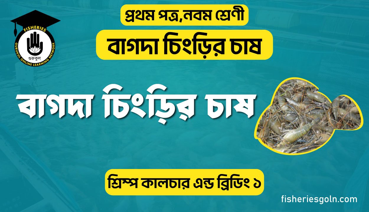 বাগদা চিংড়ির চাষ। ৩য় অধ্যায় । শ্রিম্প কালচার এন্ড ব্রিডিং ১