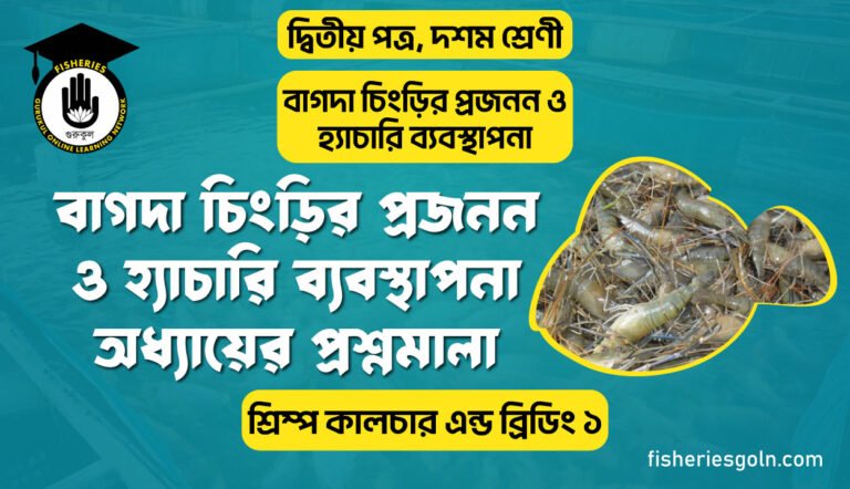 বাগদা চিংড়ির প্রজনন ও হ্যাচারি ব্যবস্থাপনা অধ্যায়ের প্রশ্নমালা | অধ্যায়-৩ | শ্রিম্প কালচার এন্ড ব্রিডিং ১