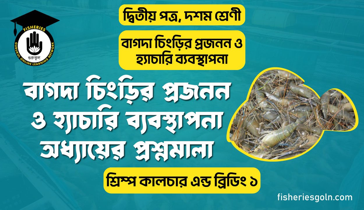 বাগদা চিংড়ির প্রজনন ও হ্যাচারি ব্যবস্থাপনা অধ্যায়ের প্রশ্নমালা | অধ্যায়-৩ | শ্রিম্প কালচার এন্ড ব্রিডিং ১