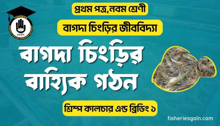 বাগদা চিংড়ির বাহ্যিক গঠন । ২য় অধ্যায় । শ্রিম্প কালচার এন্ড ব্রিডিং ১