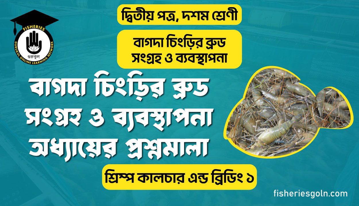 বাগদা চিংড়ির ব্রুড সংগ্রহ ও ব্যবস্থাপনা অধ্যায়ের প্রশ্নমালা