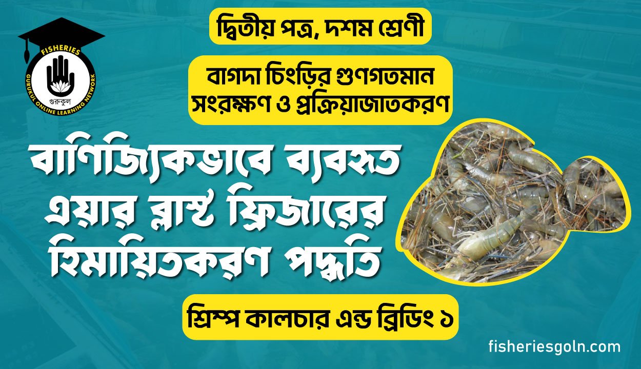 বাণিজ্যিকভাবে ব্যবহৃত এয়ার ব্লাস্ট ফ্রিজারের হিমায়িতকরণ পদ্ধতি | অধ্যায়-২ | শ্রিম্প কালচার এন্ড ব্রিডিং ১
