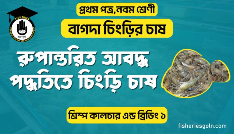 রুপান্তরিত আবদ্ধ পদ্ধতিতে চিংড়ি চাষ । ৩য় অধ্যায় । শ্রিম্প কালচার এন্ড ব্রিডিং ১