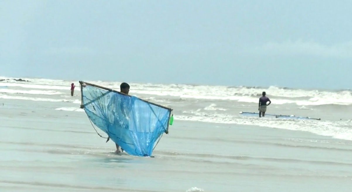 বাগদা চিংড়ির গুণগতমান সংরক্ষণ ও প্রক্রিয়াজাতকরণ অধ্যায়ের প্রশ্নমালা | অধ্যায়-২ | শ্রিম্প কালচার এন্ড ব্রিডিং ১