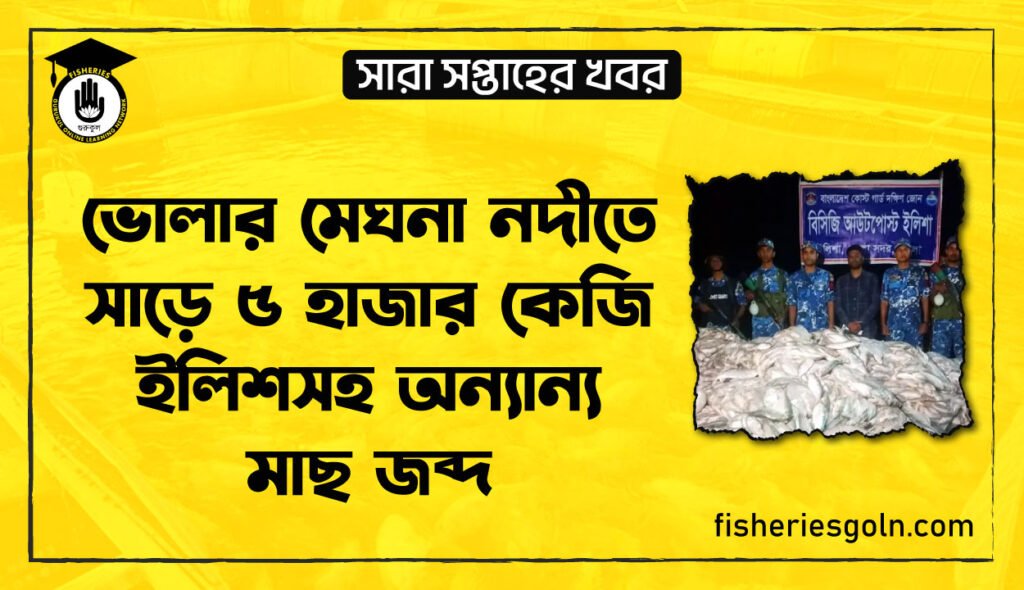 ভোলার মেঘনা নদীতে সাড়ে ৫ হাজার কেজি ইলিশসহ অন্যান্য মাছ জব্দ